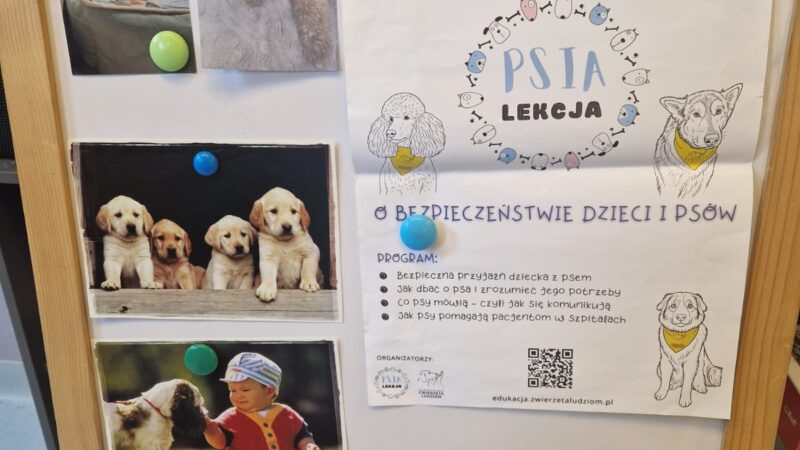 Psia lekcja – nauka i zabawa o czworonożnych przyjaciołach🐶